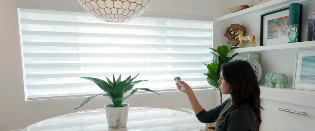 Motorized Window Treatments In Petaluma, California